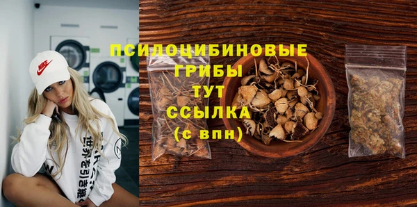 дурь Алзамай