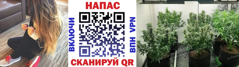 Каннабис SATIVA & INDICA цены Беслан